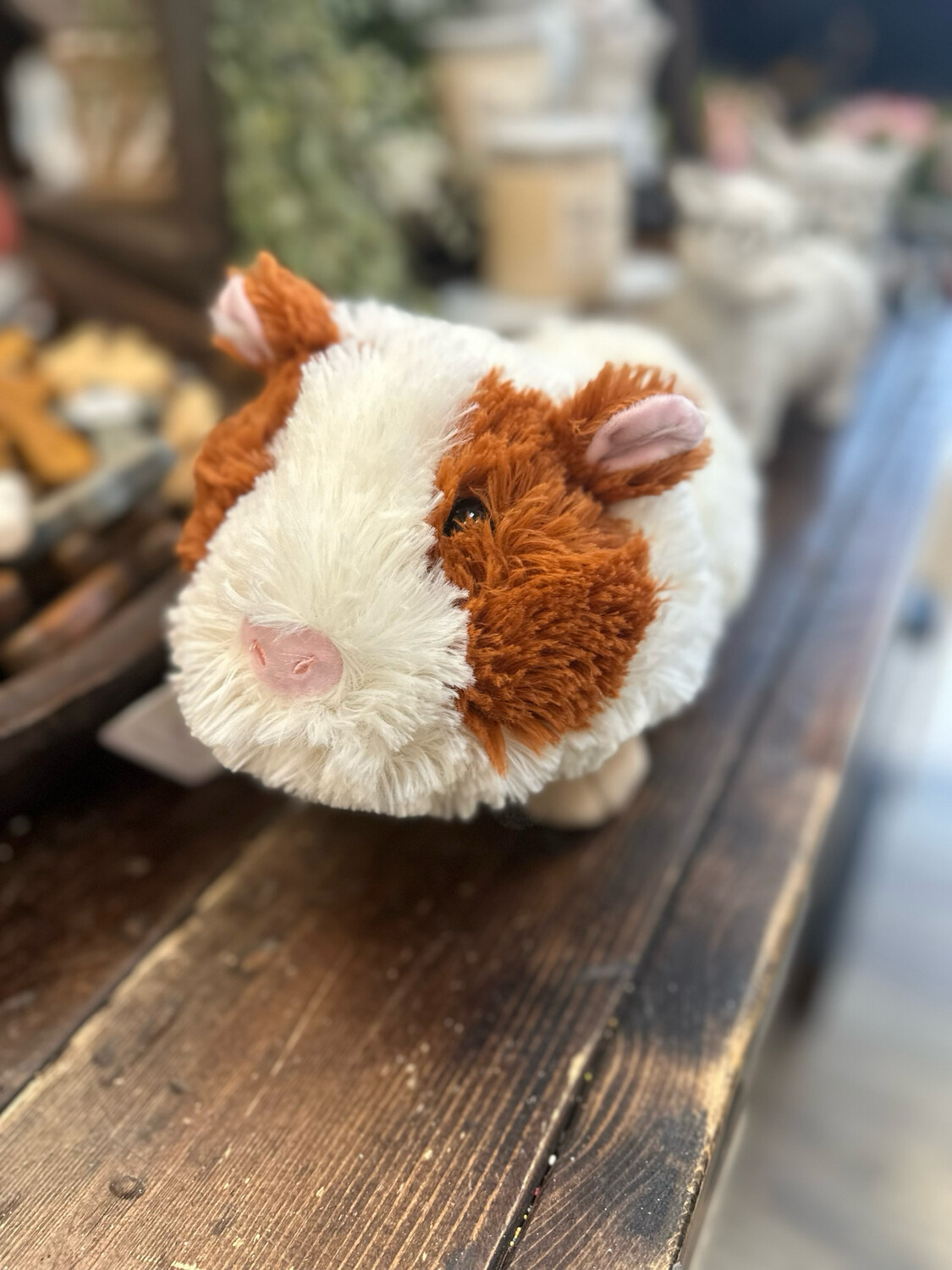 Guinea Pig Warmie
