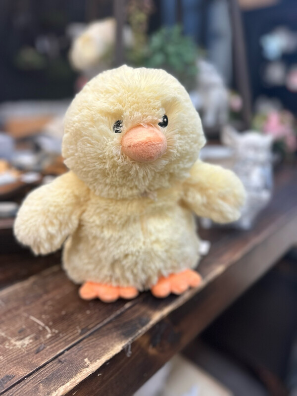 Chick Warmie