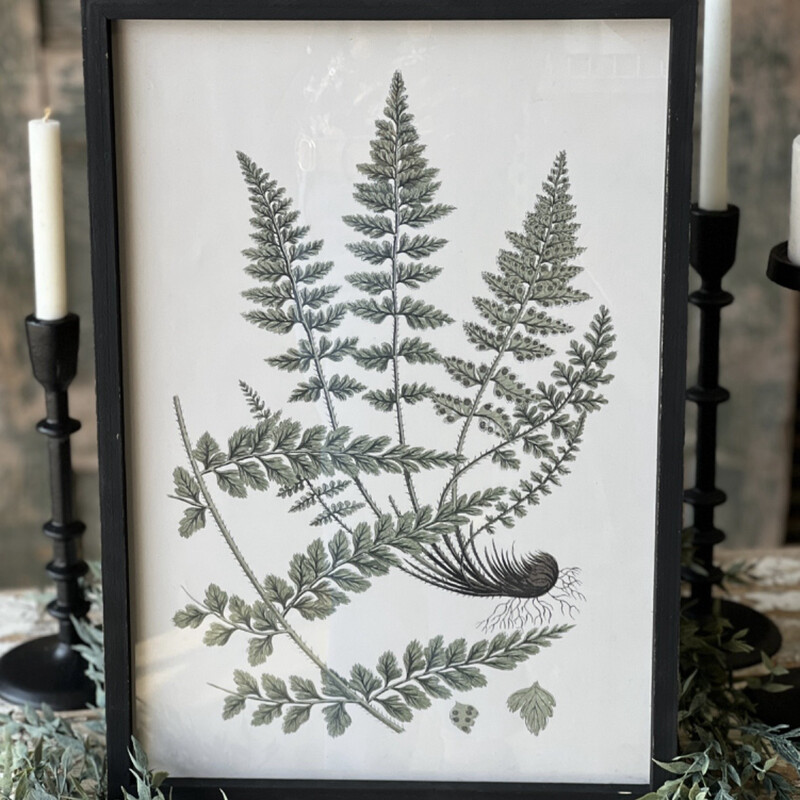Lan Shadow Case Fern 3 14x20