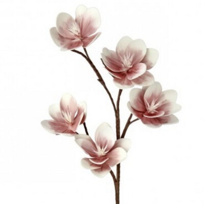 Reg 43&quot; Blush Japanese Magnolia Foam