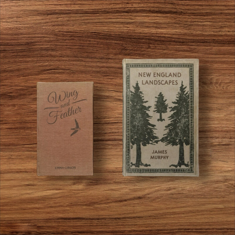Cco New England Landscapess Book Box 10.25x6.5x1.9