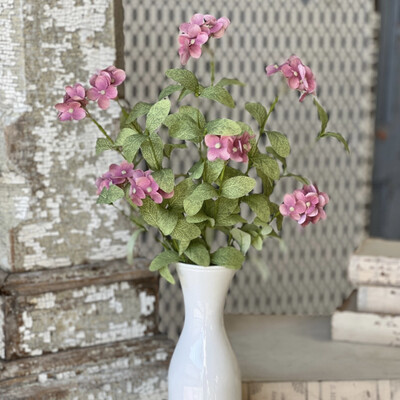 Lan 20" Carnation Glendover Blooms