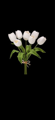 Reg Foam Tulip White