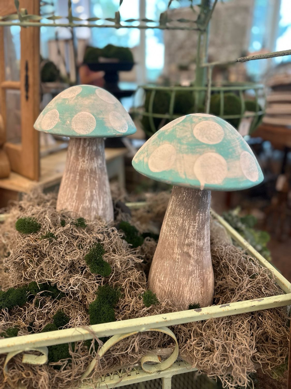 Cima Mushroom Large 16&quot;
