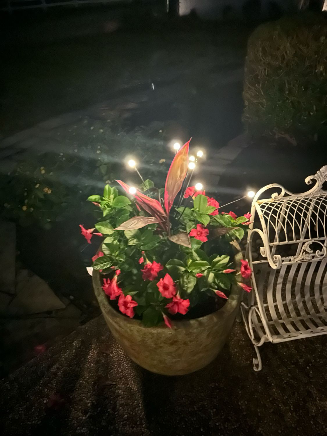 WT Solar Firefly Light 8ct