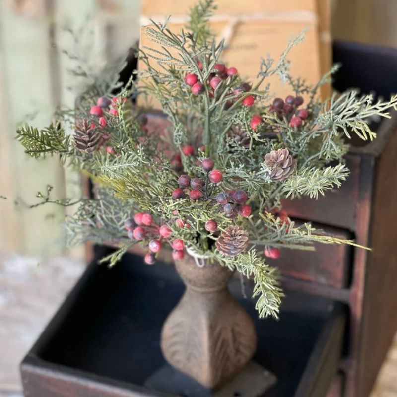 Lan 12" Red Siberian Cypress Bush