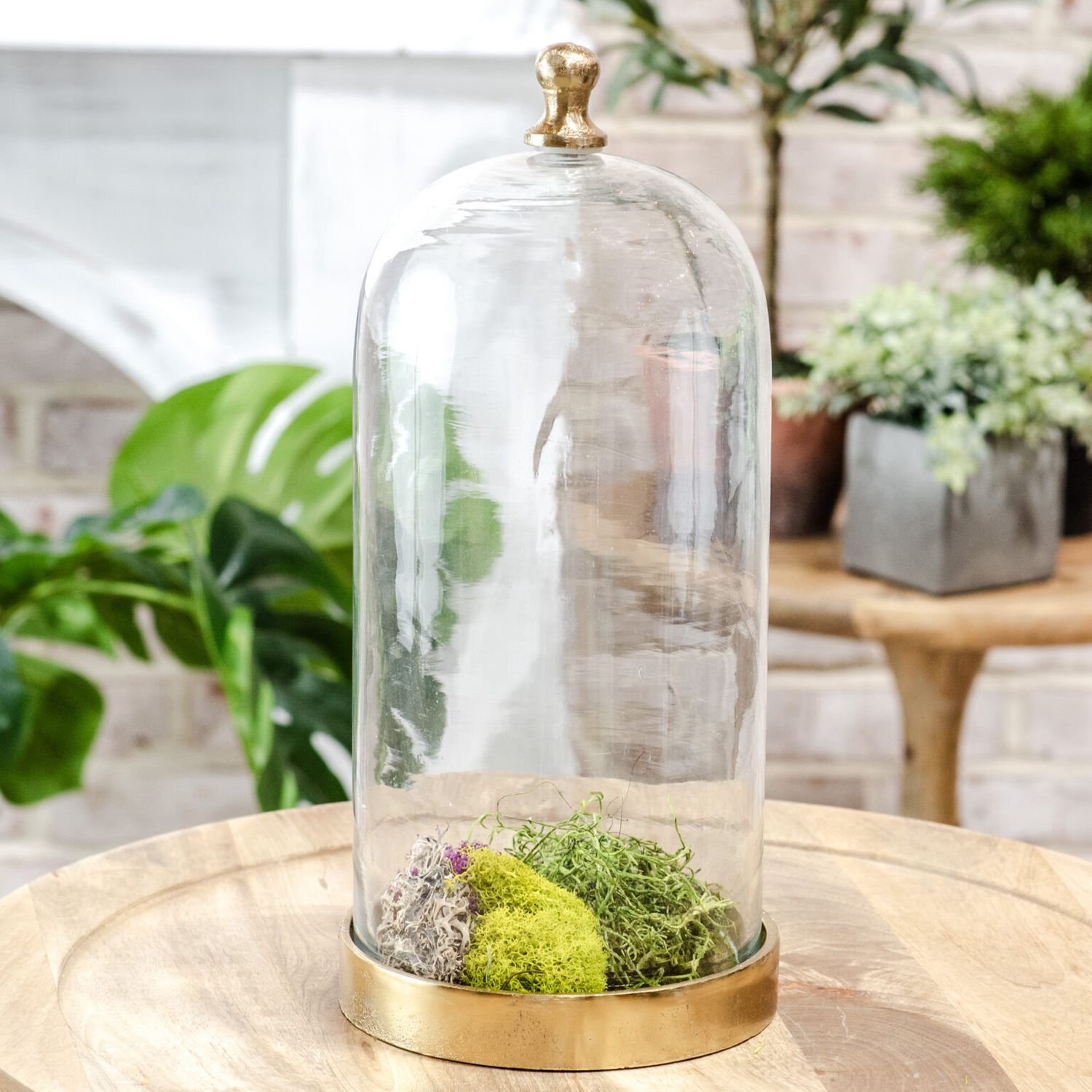 Pdg 14.5&quot; Glass Cloche W/Gold Base