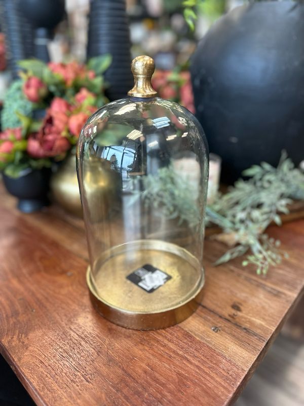 Pdg 12" Glass Cloche W/Gold Base