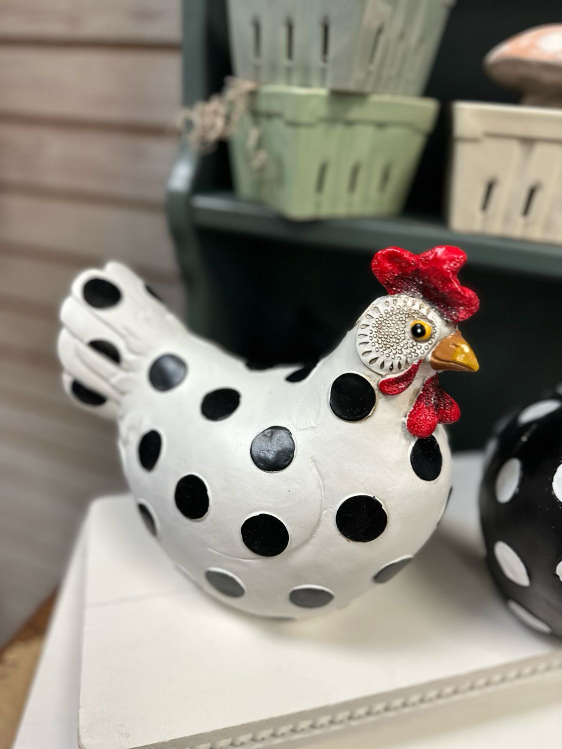 Yng Bl Dot Chicken 9h 9w