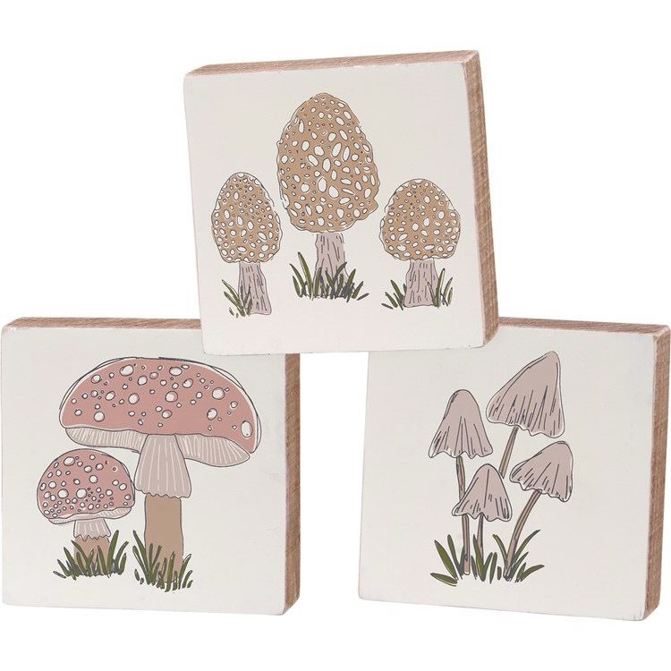 Pbk Mushroom Bloxk Signs Set/3