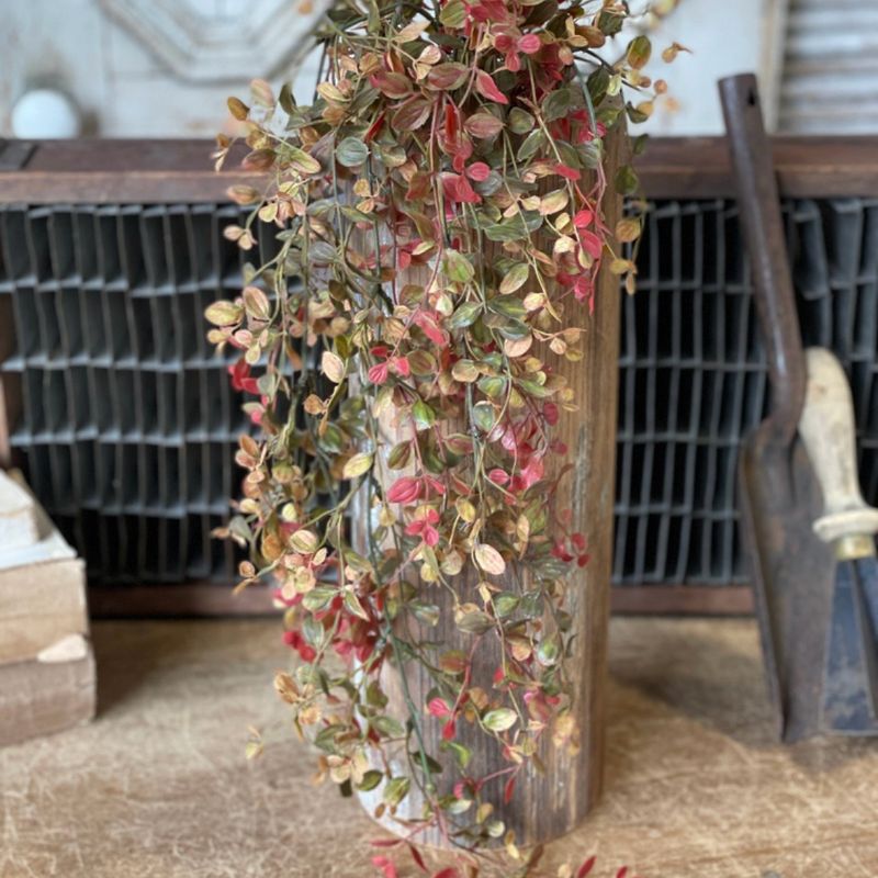 Lan 34&quot; Bog Pimpernel Hanging RD