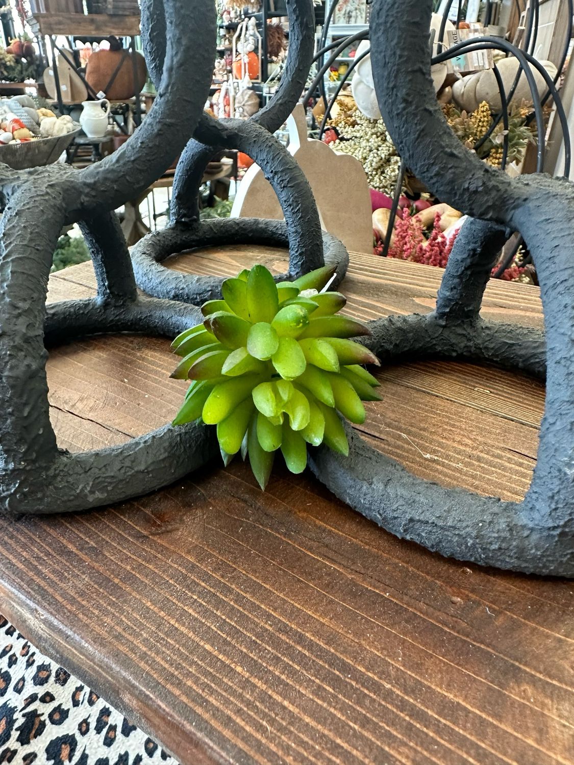 Imp Artichoke Succ Stem 5&quot;