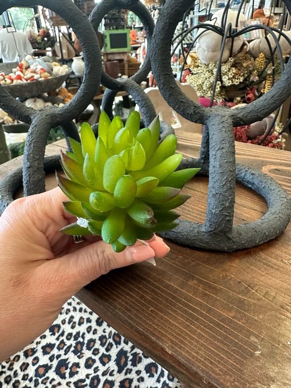 Imp Artichoke Succ Stem 5"
