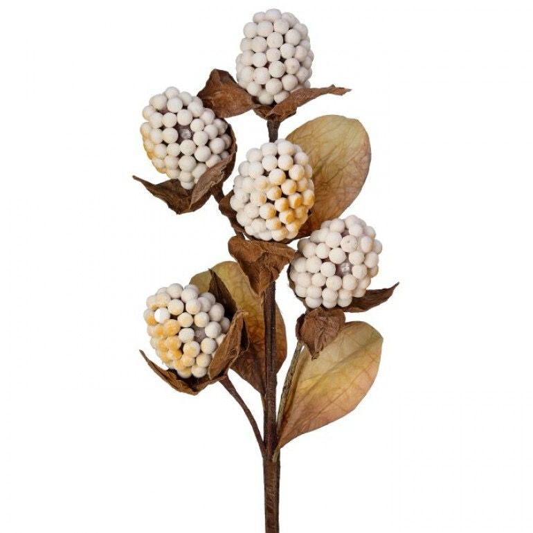 Reg Crm Pod Berry
