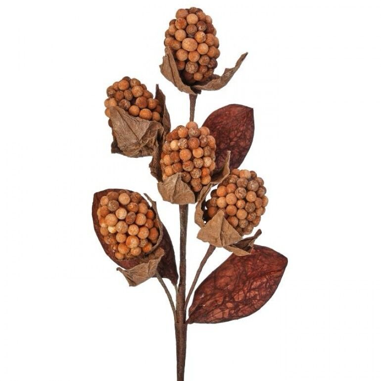 Reg 18&quot; Pod Berry Nutmeg
