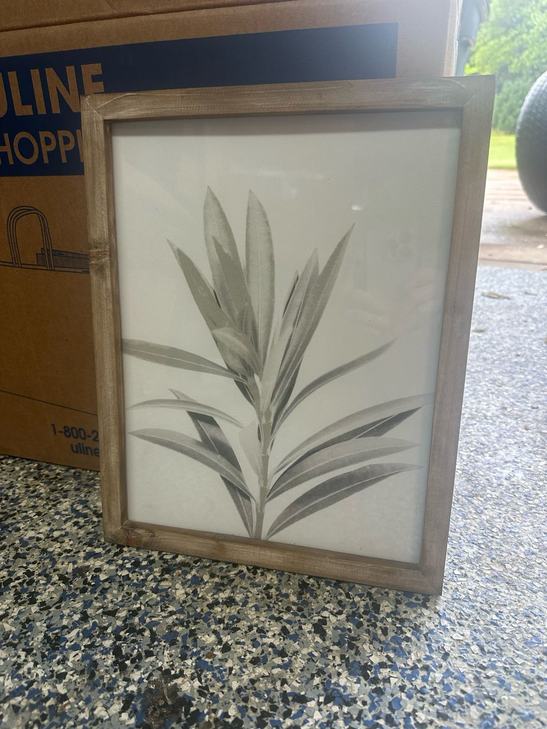 Pdg 14x11 Botanical Wall Decor