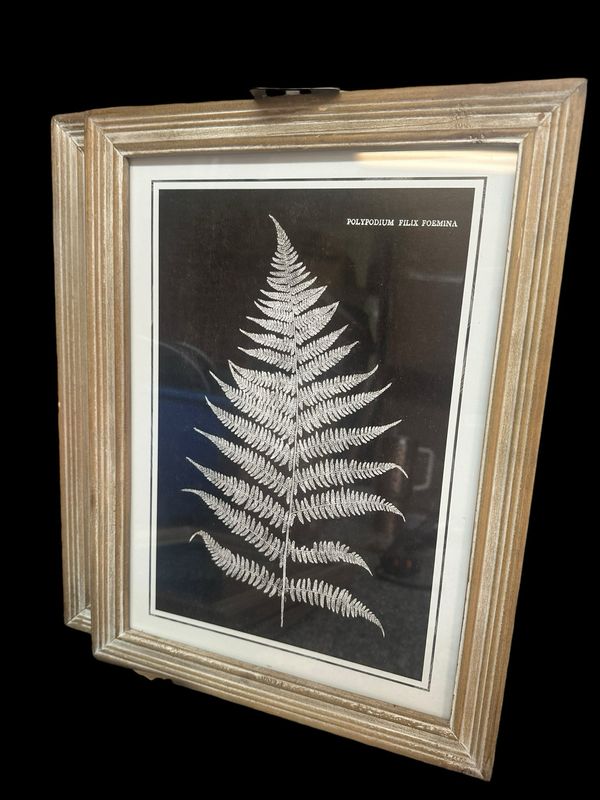 Pdg Triangular Fern Wall Decor 11.75x15.75