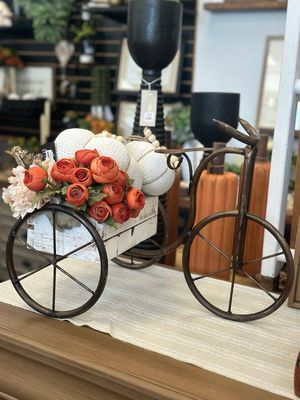 Wagons/Tricycles