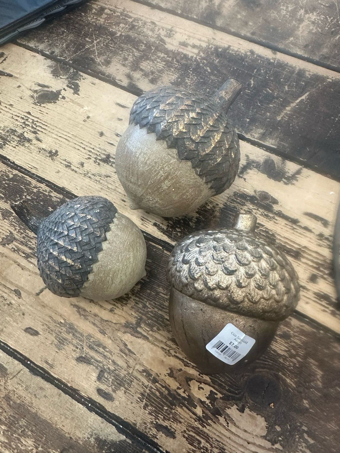 3 Acorns