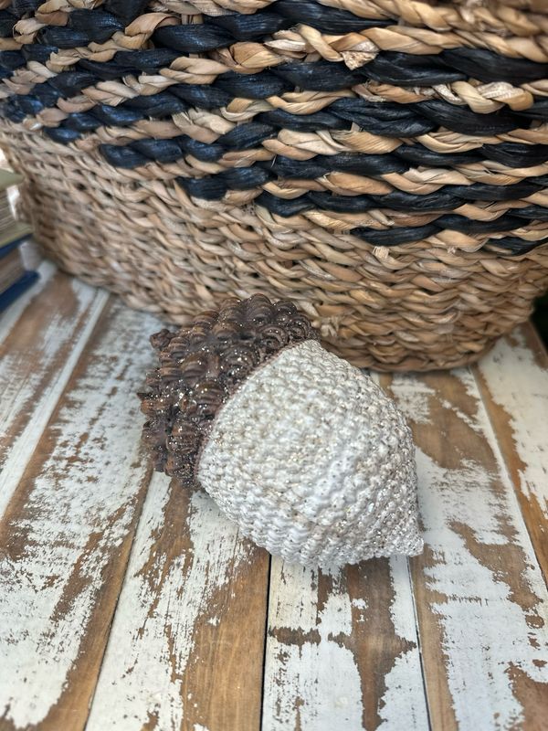Ger Sm Resin Acorn White 4.5&quot;