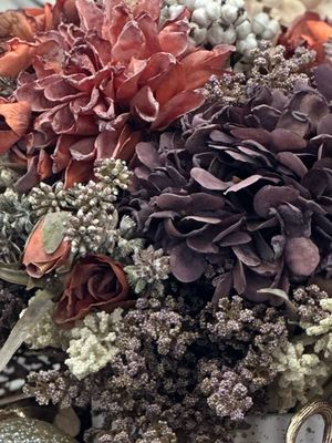 Hydrangea