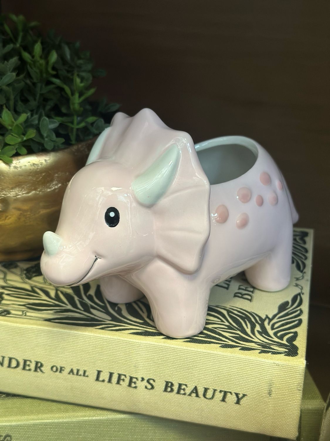 BB Dino Planter 7x4 Pink
