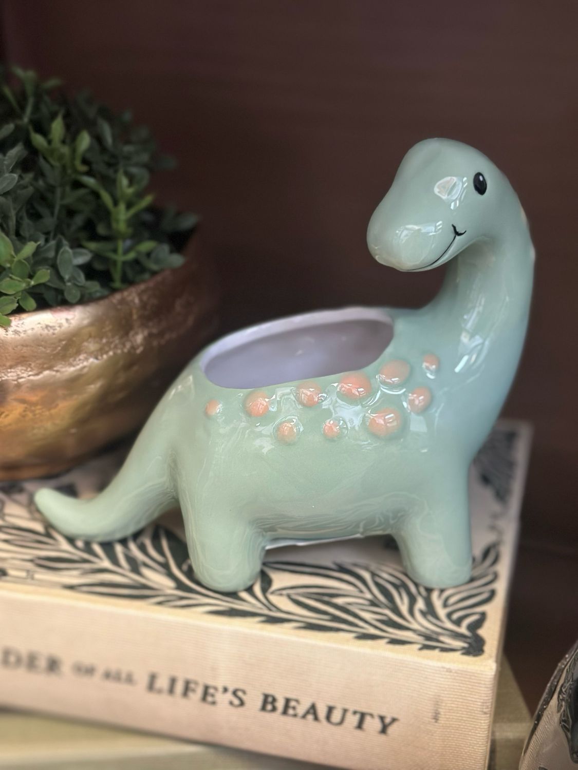 BB Dino Planter 7x5 Gr