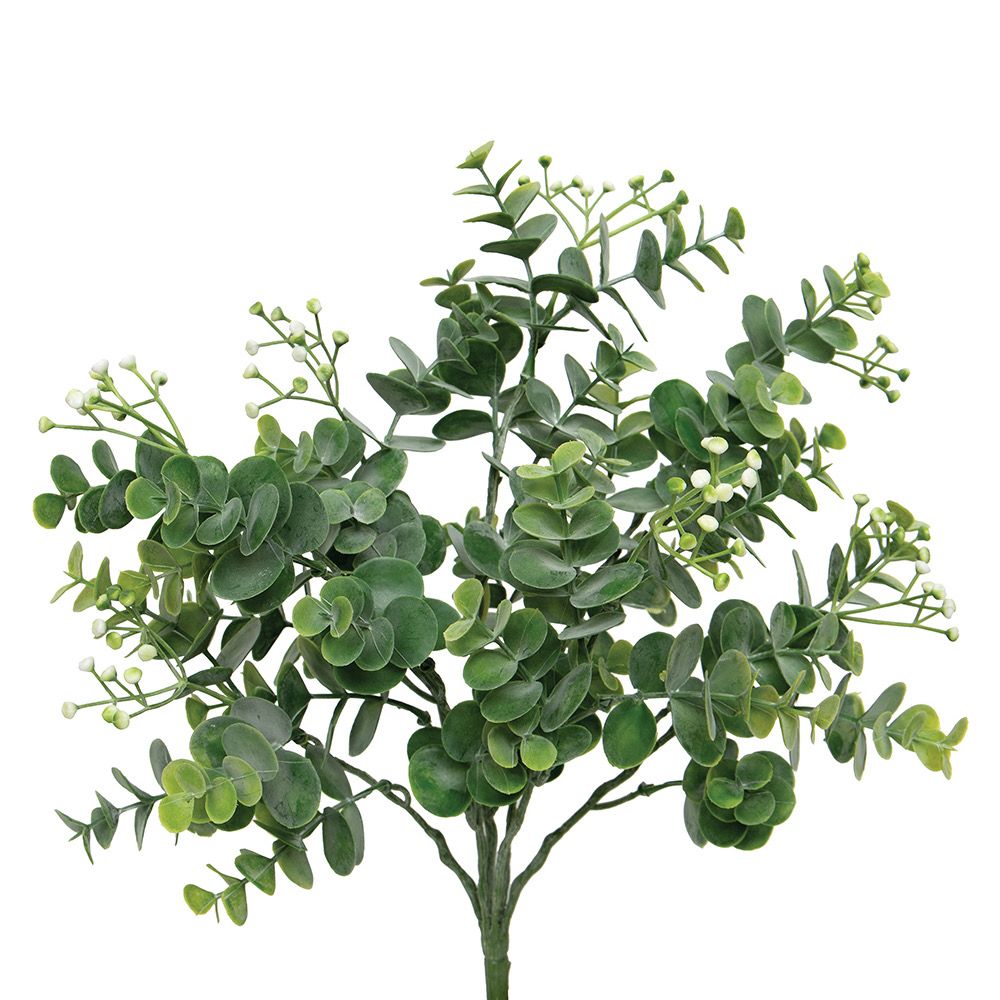 MV Euc Green Seeded Bush 16&quot;