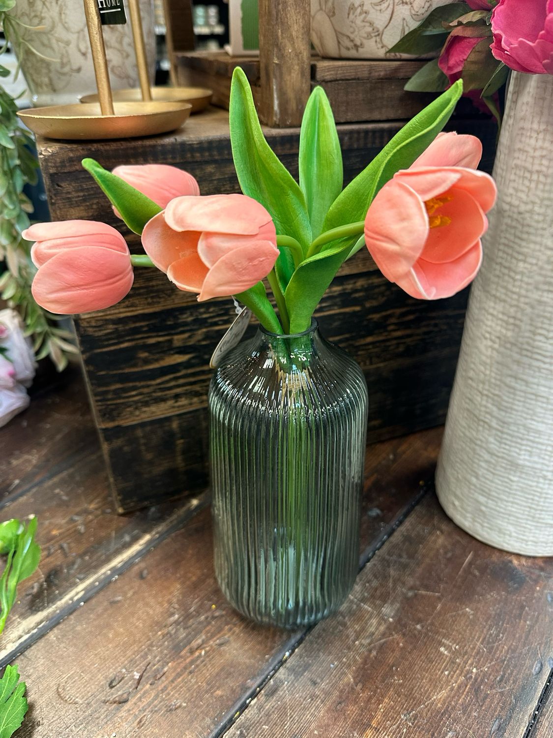 ANG 5 Tulip 13&quot; RT Cor