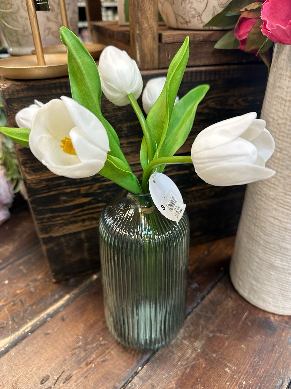 ANG 5 Tulip 13&quot; RT WT