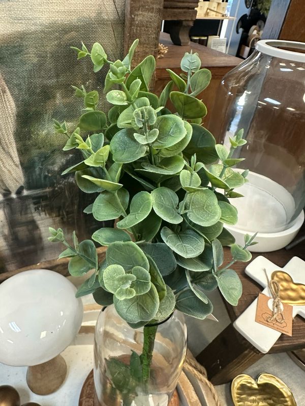 MV 11&quot; Bush Eucalyptus
