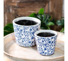 Pdg Lg Blue Berry Leaf Print Pot 4.5x5.5