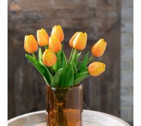 Pdg 9 Sunset Orange Tulip Bunch