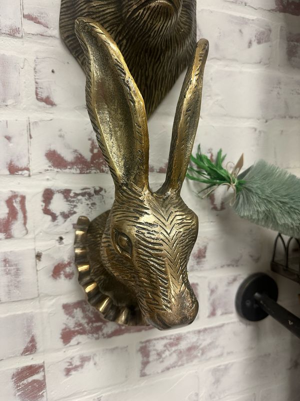 CCO Rabbit Collar 5x12