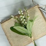 Rag 12.75&quot; White Bellflower Bush
