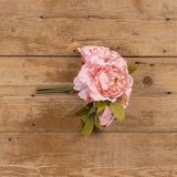 Rag 11&quot; Blush Peony Bush