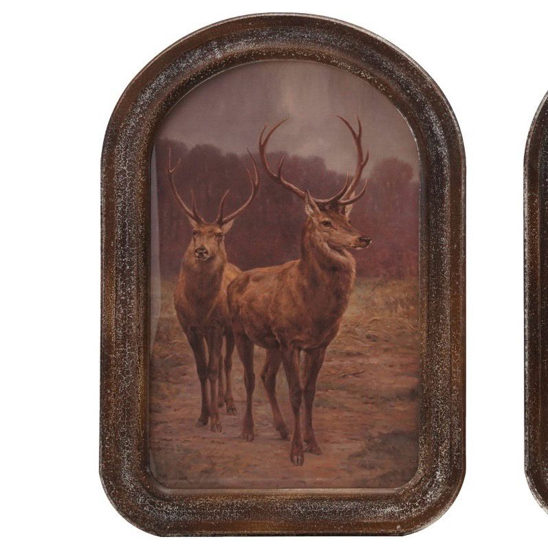 CCO Two Stags in Forest Arched Framed Glass Wall Art 21.5x15