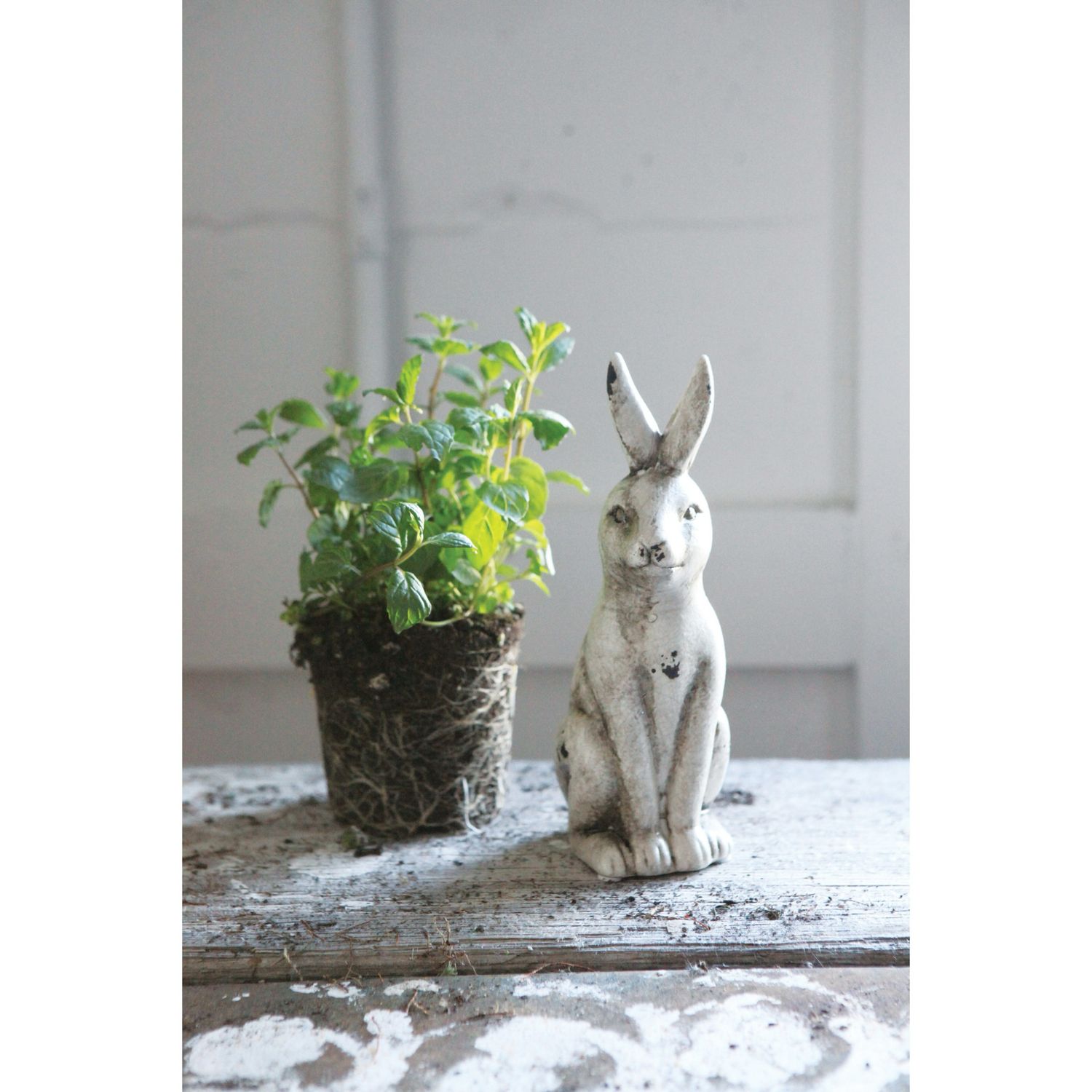CCO 8&quot; Rabbit