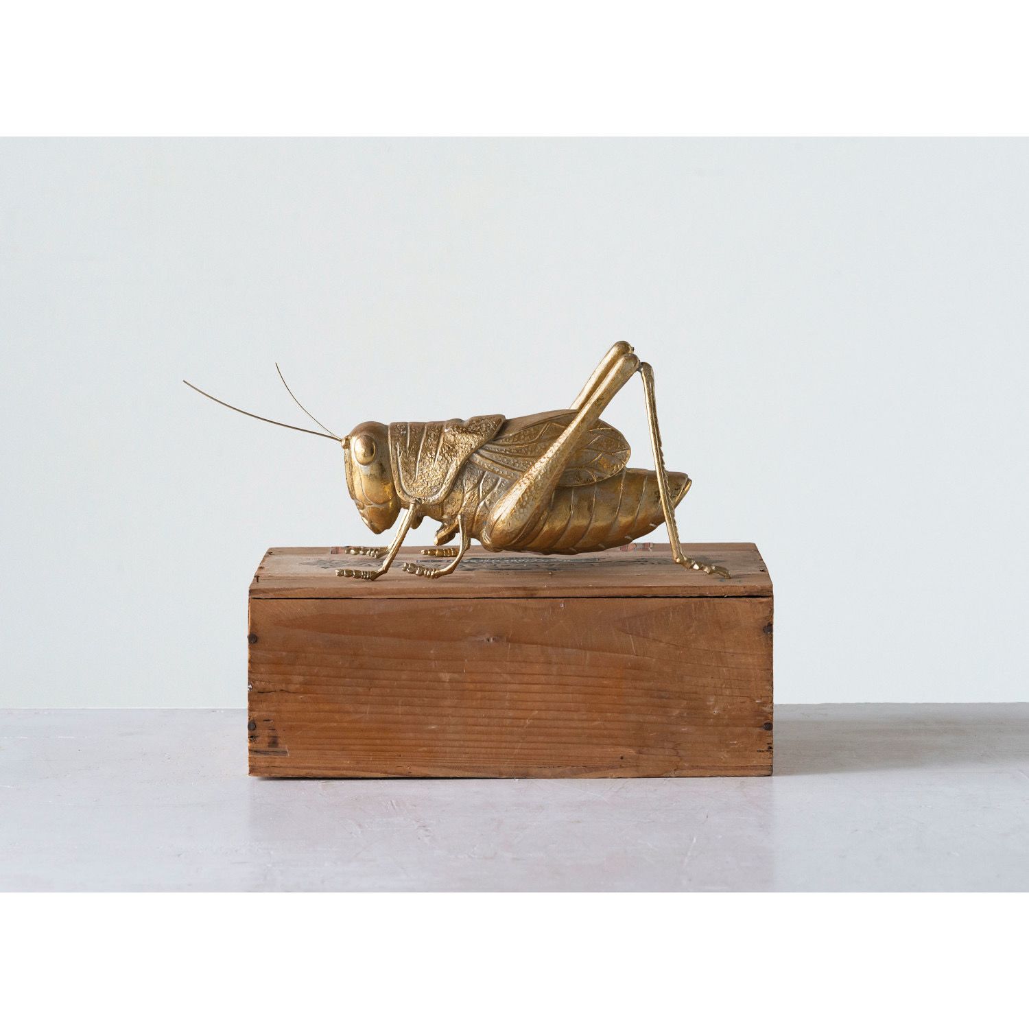 CCO Gold Resin Cricket 10.5x4.25