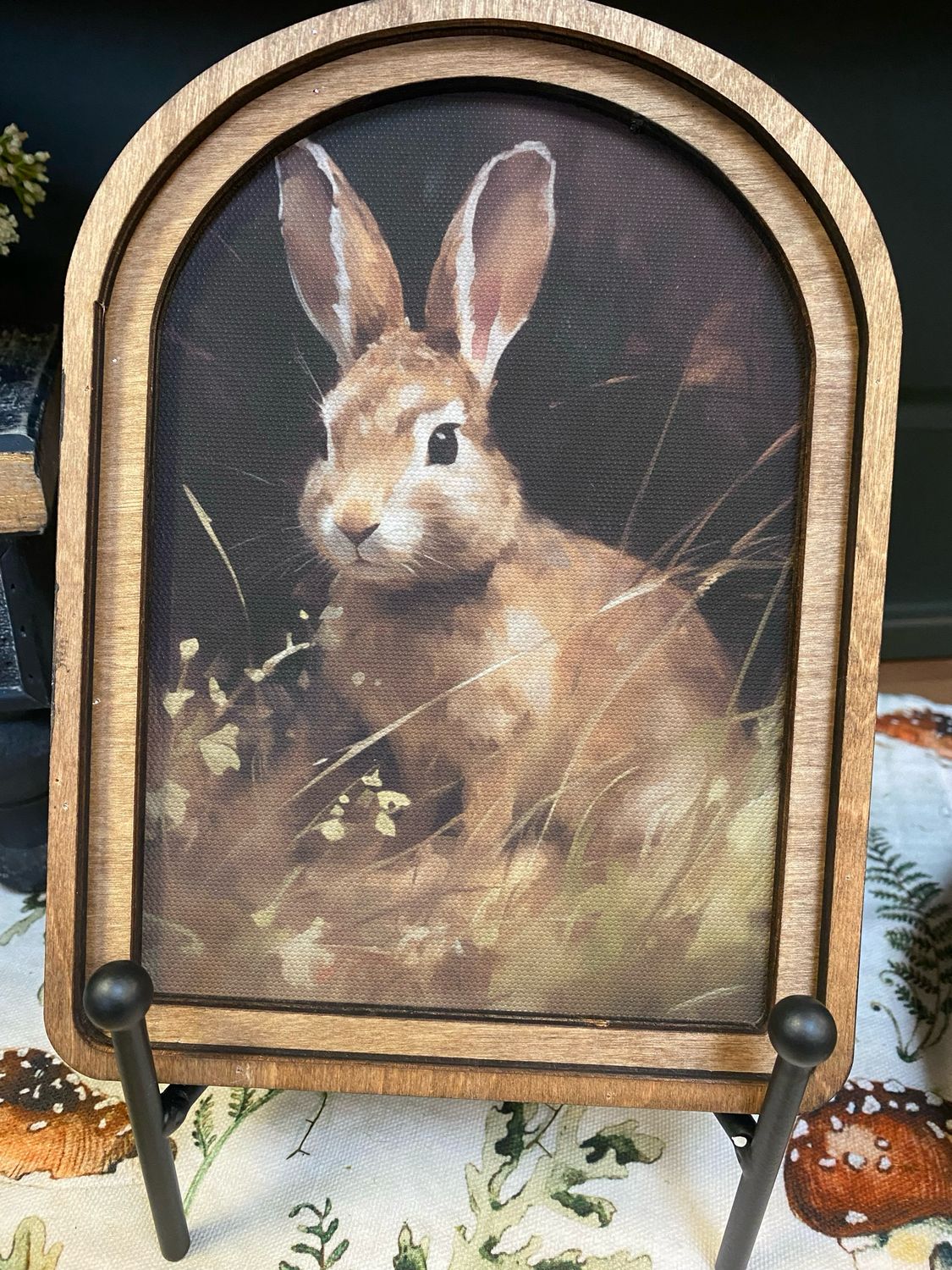Red Arch Top Bunny With Dark Background