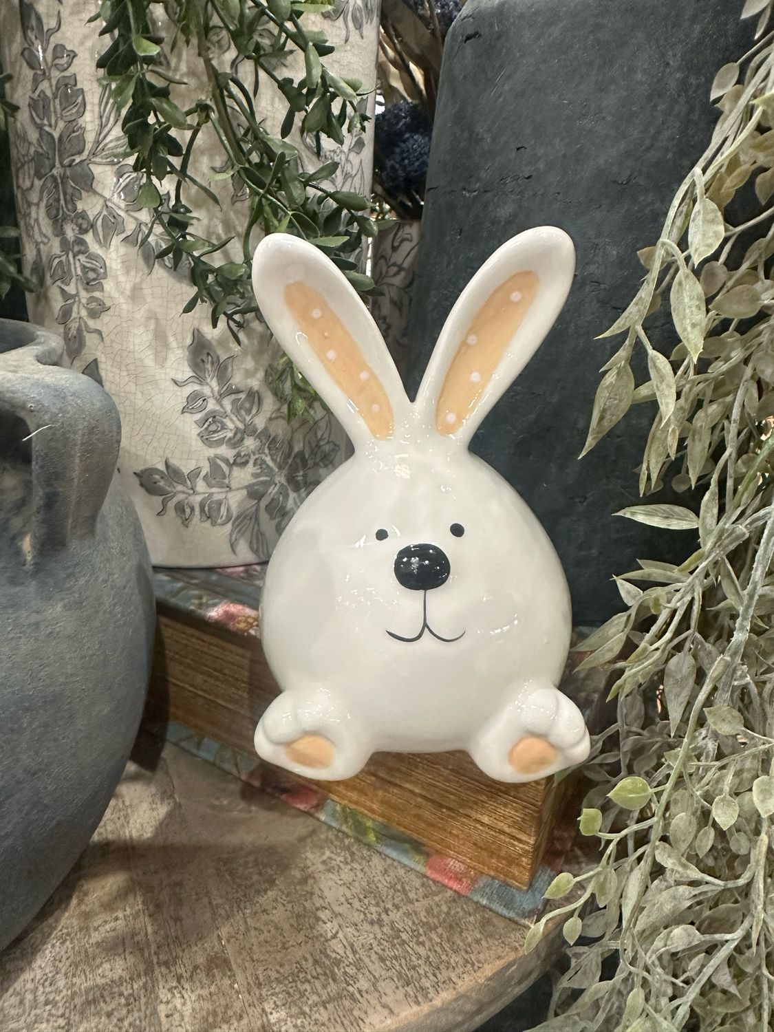 Ger 5.35&quot; Bunny Coral