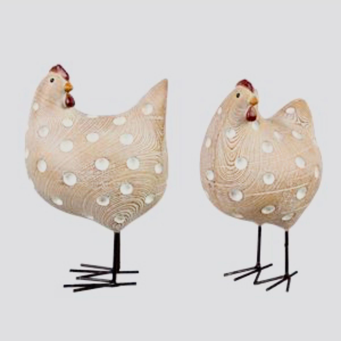Yng 6&quot; Looking Back Dot Chicken