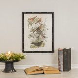 Rag Birds In The Garden Print W/Black Frame 18.25x14.25