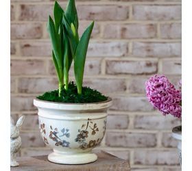 PDG 5.5” beige blue pattern pot