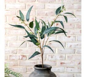 PDG 33” eucalyptus fruit stem