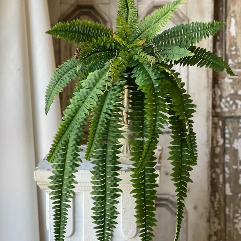 Lan 36&quot; Niagara Fern Hanging
