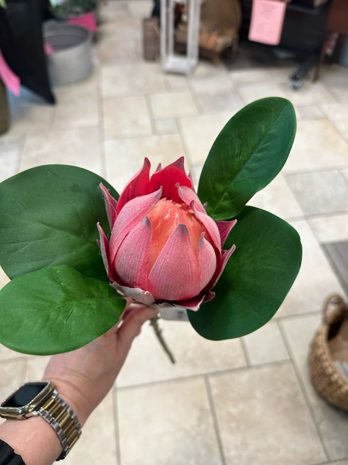Ang 21&quot; Protea Pink