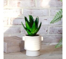 Pdg 11&quot; Agave In Ceramic Pot