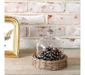 Pdg 6.3&quot; Willow Base Glass Cloche