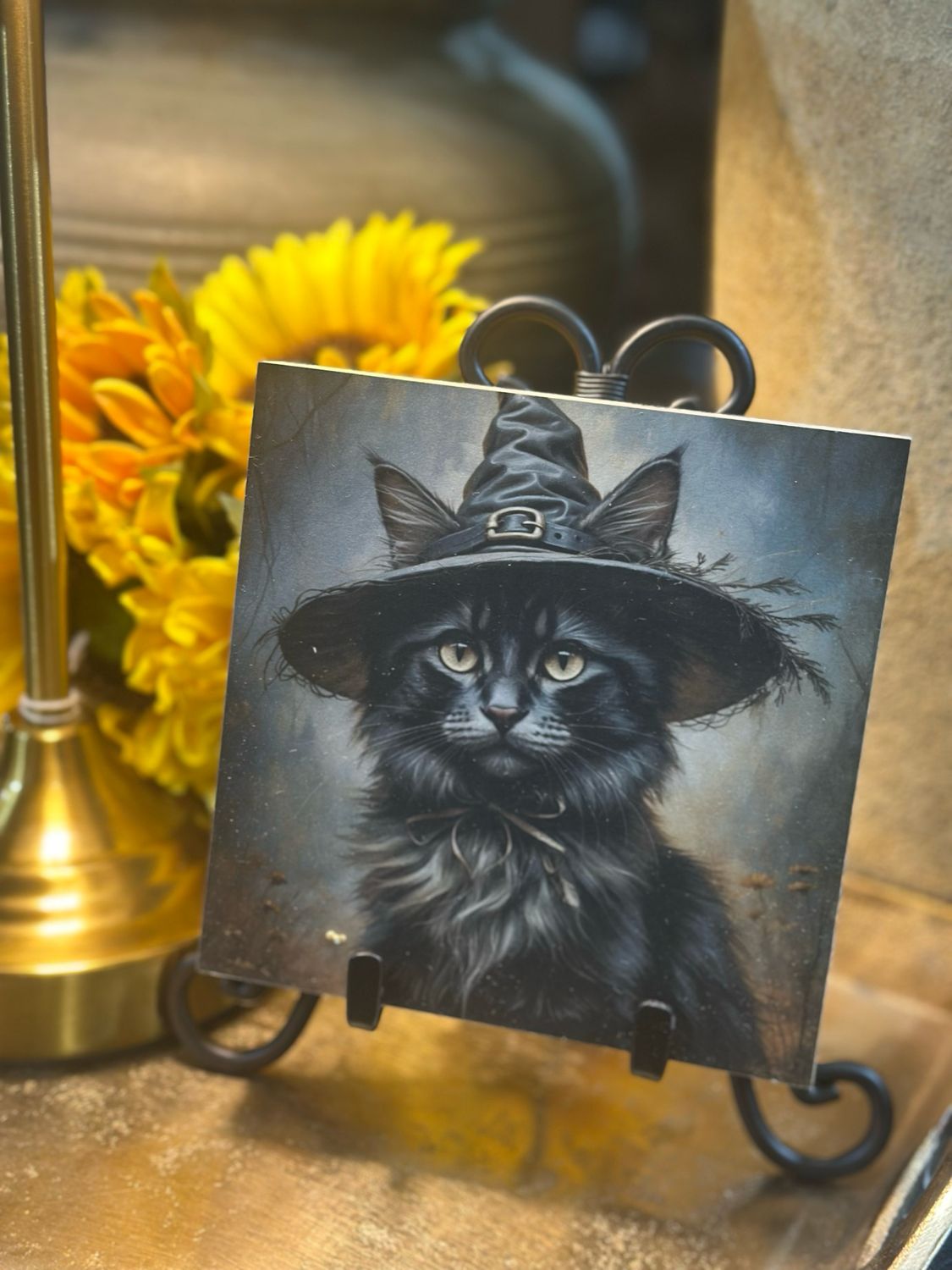 BBE 5x5 Black Cat